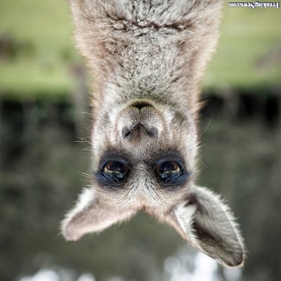 jorismunnik@mastodon.nl