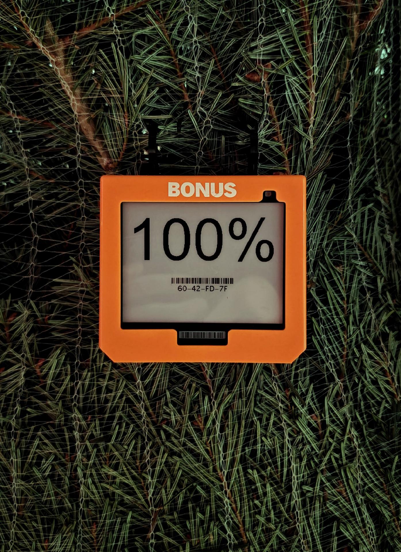 A photo of an electronic shelf label that says “BONUS” at the top and displays “100%” on the screen. It’s hanging in front of a Christmas tree wrapped in netting.