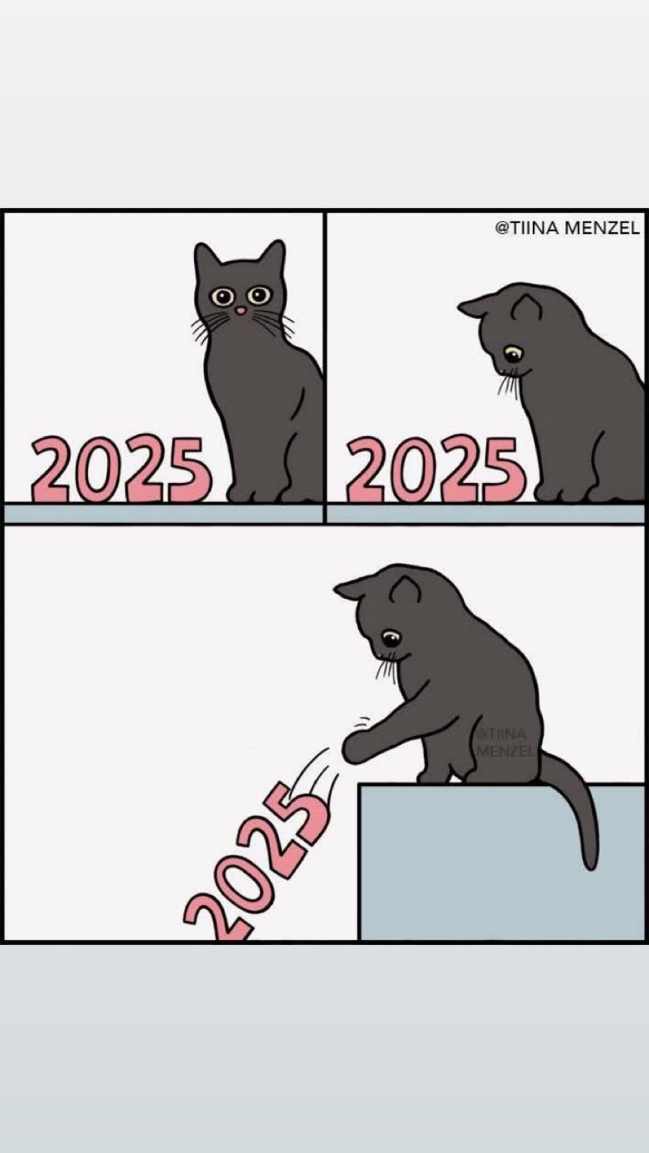 A three-panel comic featuring a gray cat. In each panel, the year "2025" is shown prominently. The cat appears curious and then pushes the numbers off a ledge in the last panel, suggesting a playful or mischievous action.