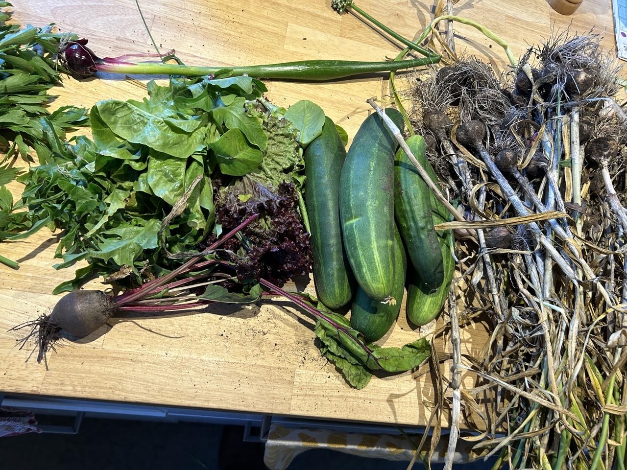 Green stuff