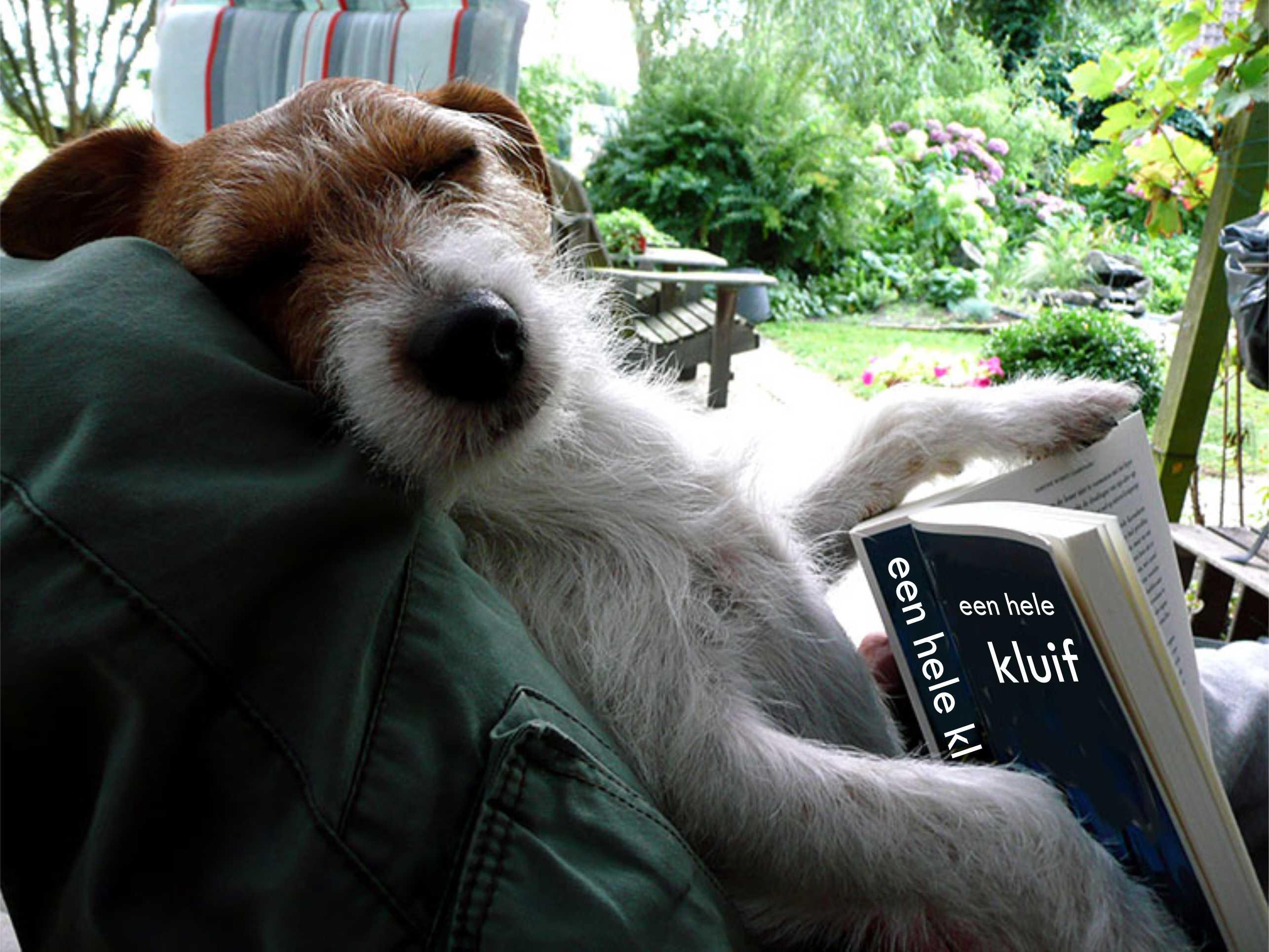 Onze ruwharige jack russel ligt op schoot. Haar linkerpootje ligt op een boek met de gephotoshopte titel: "Een hele kluif".