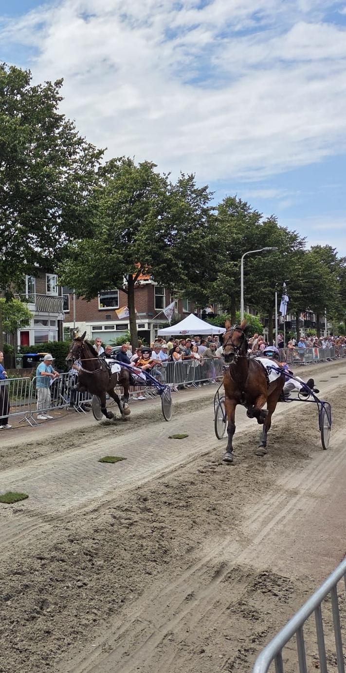 2 paarden met menners lopen de fotograaf 'tegemoet' op de harddraverij in IJmuiden