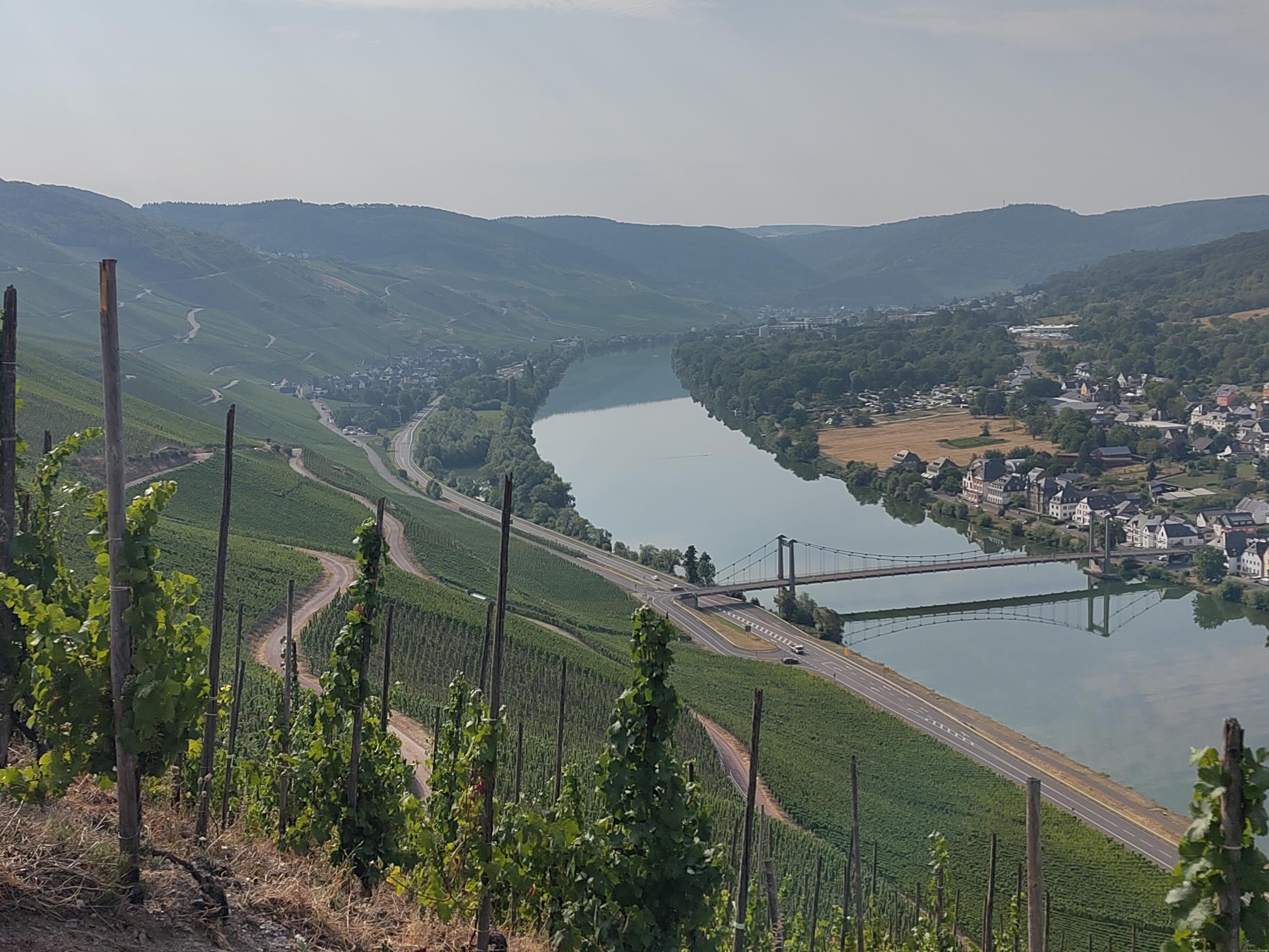 View on Whelen from up the hill across the river Mosel.