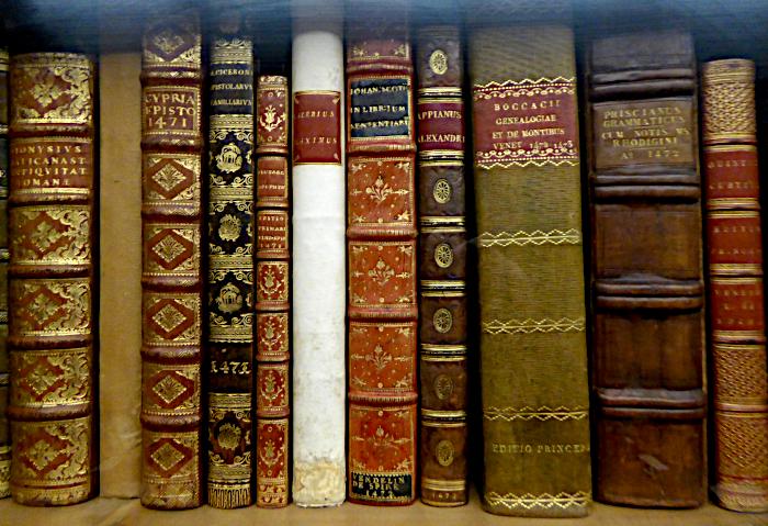 Foto van oude, in leer gebonden boeken