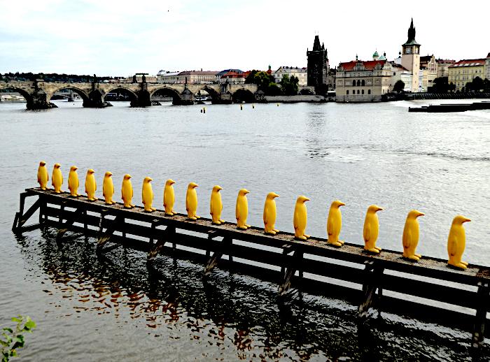 Foto van rij gele beelden van pinguïns op balken in de Donau en de andere oever