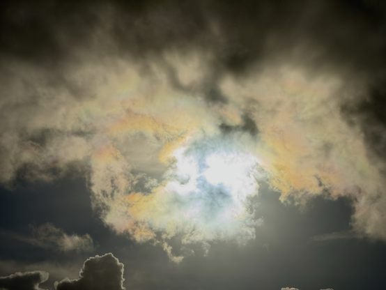 Posted media